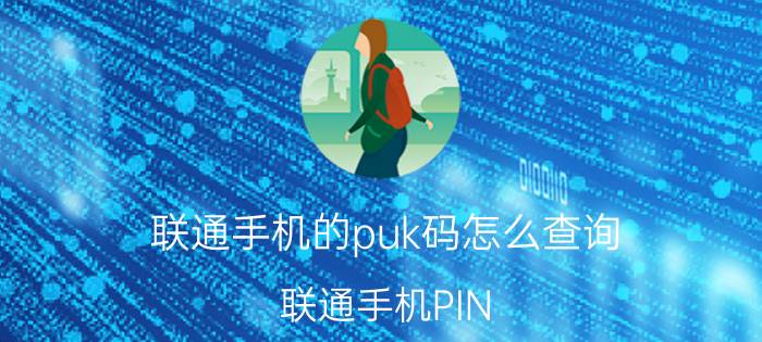 联通手机的puk码怎么查询 联通手机PIN PUK码怎么查询？